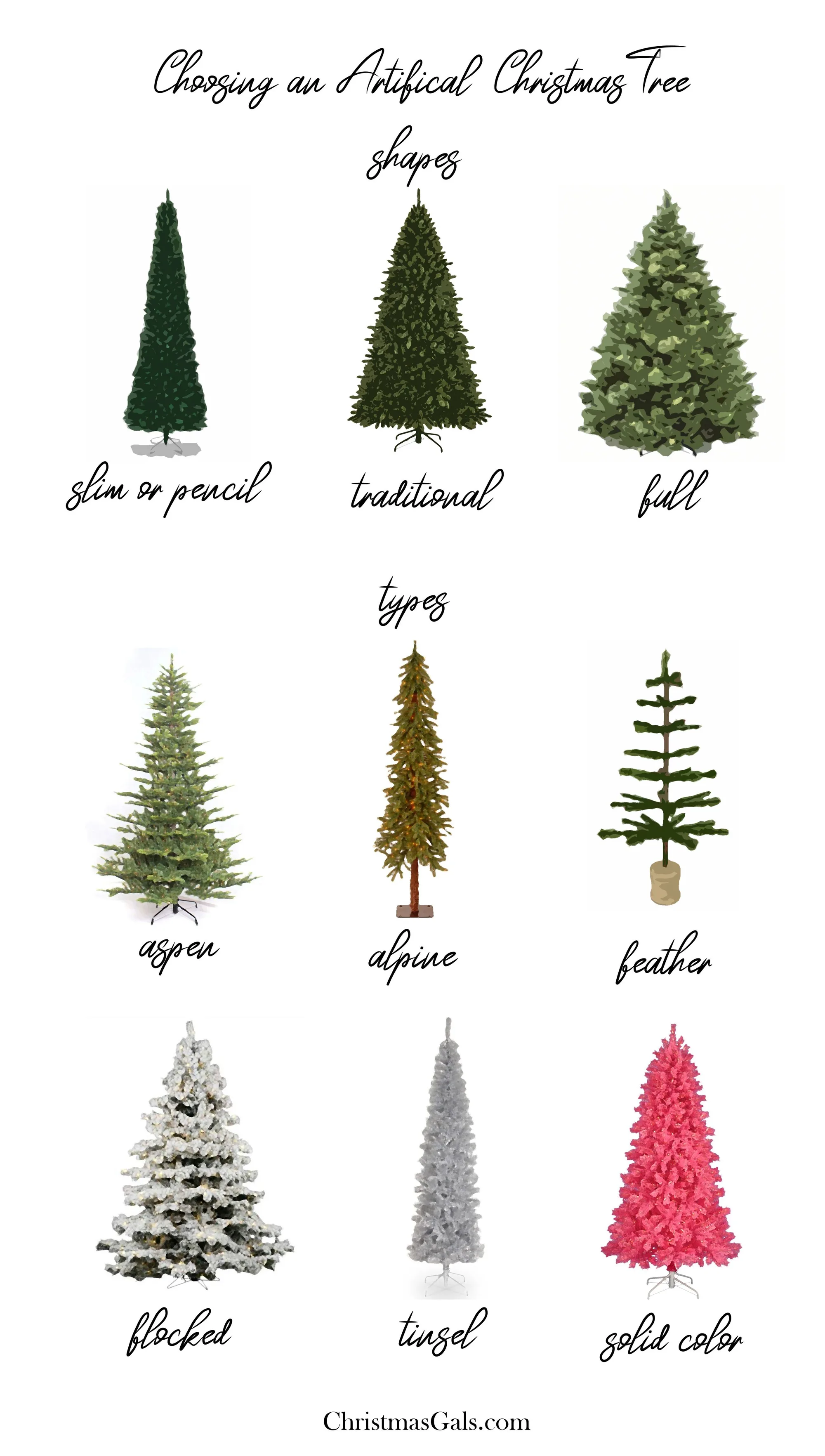 types of trees christmas printable page 1