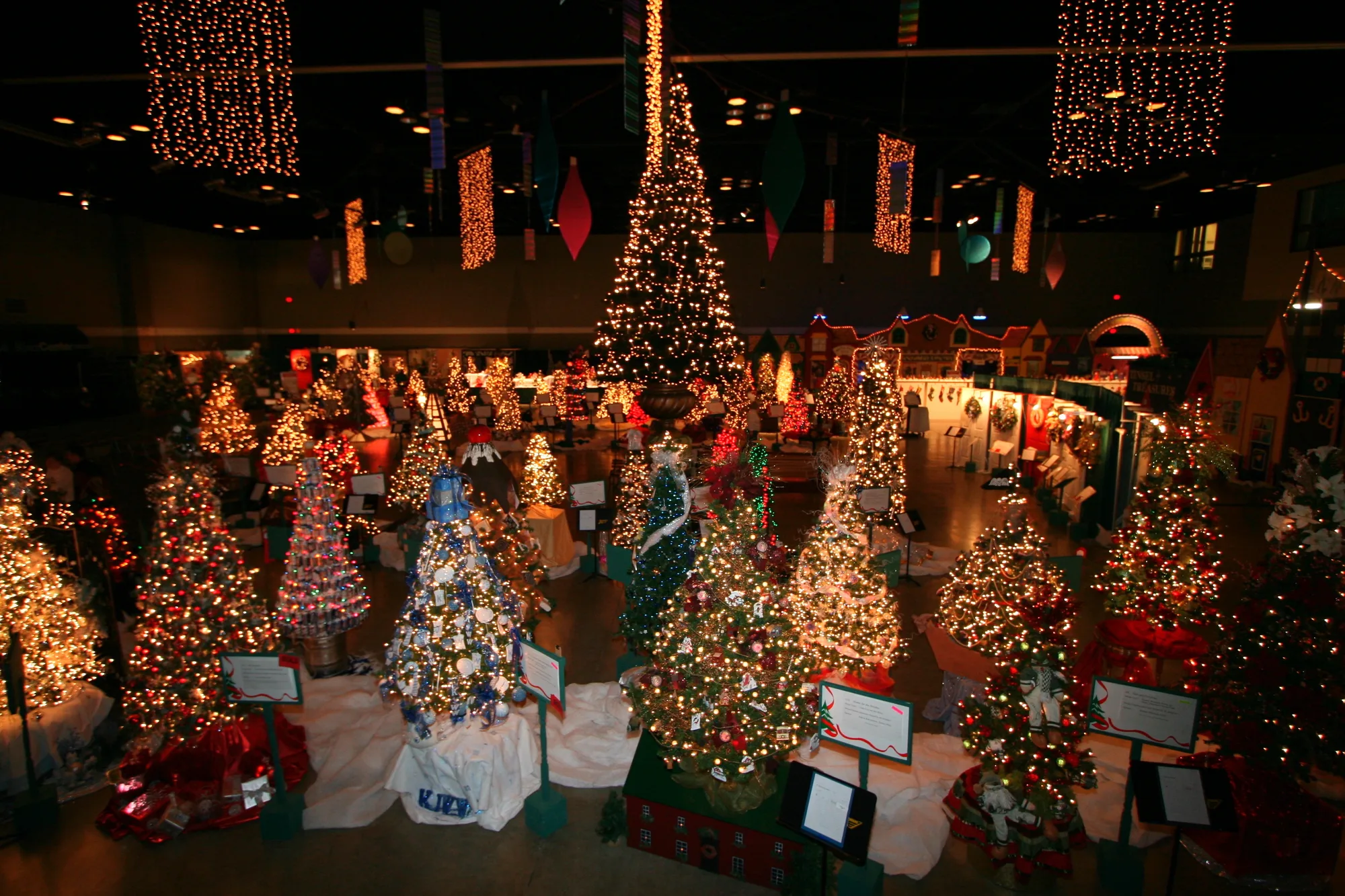 types of trees christmas printable page 4