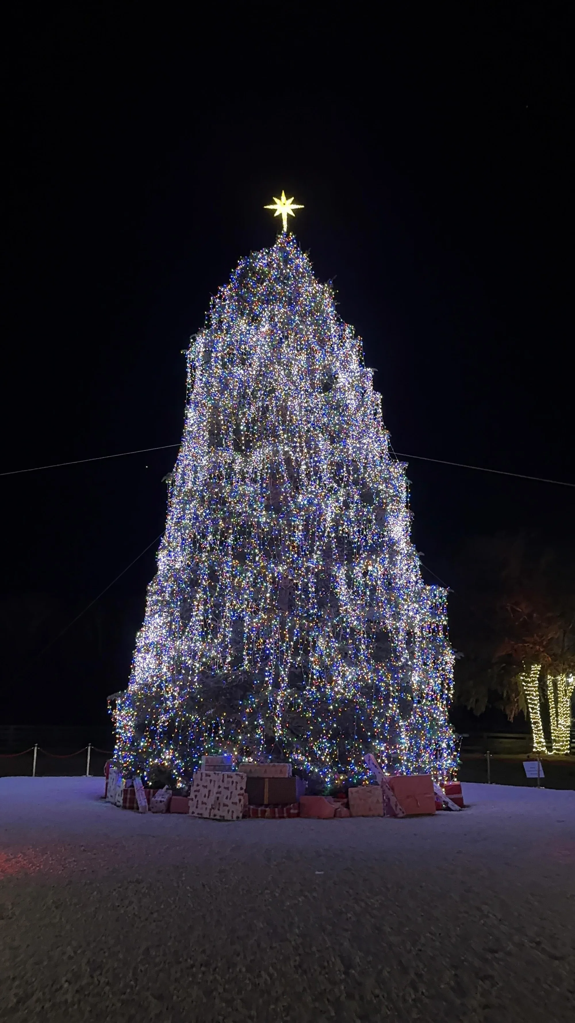 what does xmas tree represent printable page 7